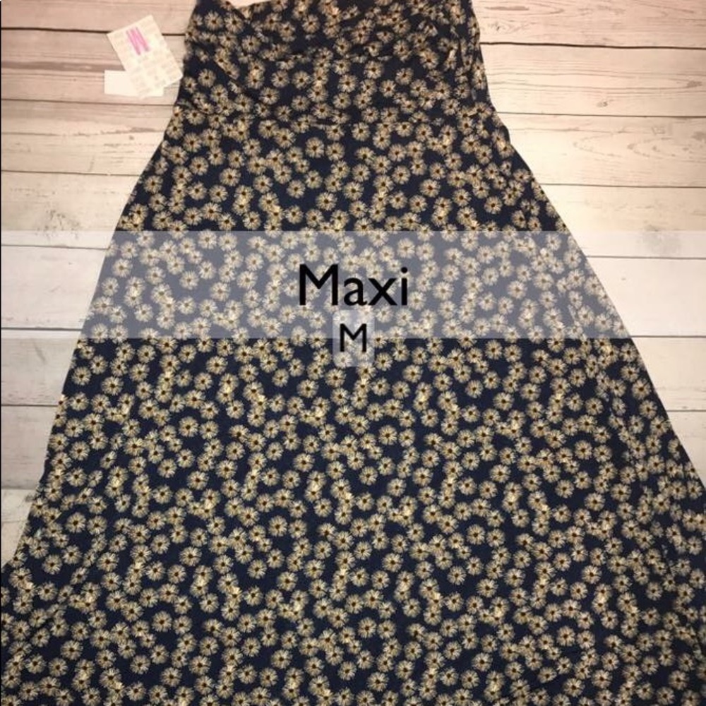 Lularoe Maxi dress or skirt